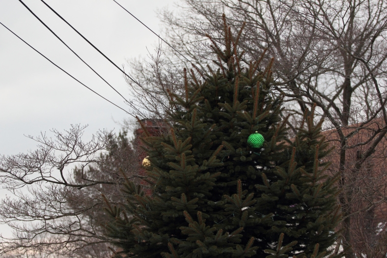 Christmas ornaments in the top branches of a tree on Hemlock Street.February 25, 2013.