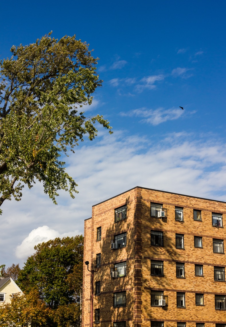 A bird glides over the apartment building at 279 Massachusetts Avenue. October 22, 2013.