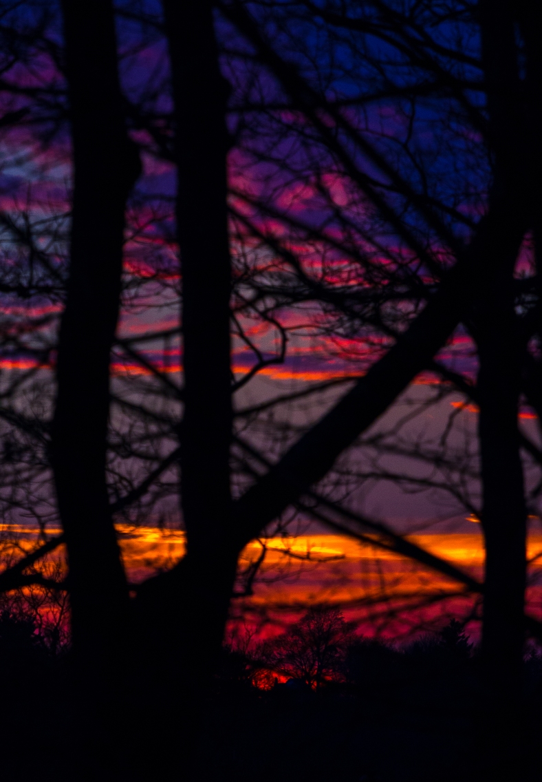 A fiery sunset lights up the Arlington sky. December 4, 2013.