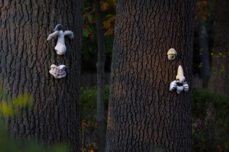 No, not the demolished haunted disco on route 2, but faces on trees in the yard of a Mountain Avenue home. October 17, 2014.