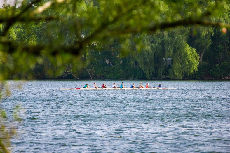 An Arlington-Belmont Crew boat out for practice on Spy Pond. September 12, 2013.